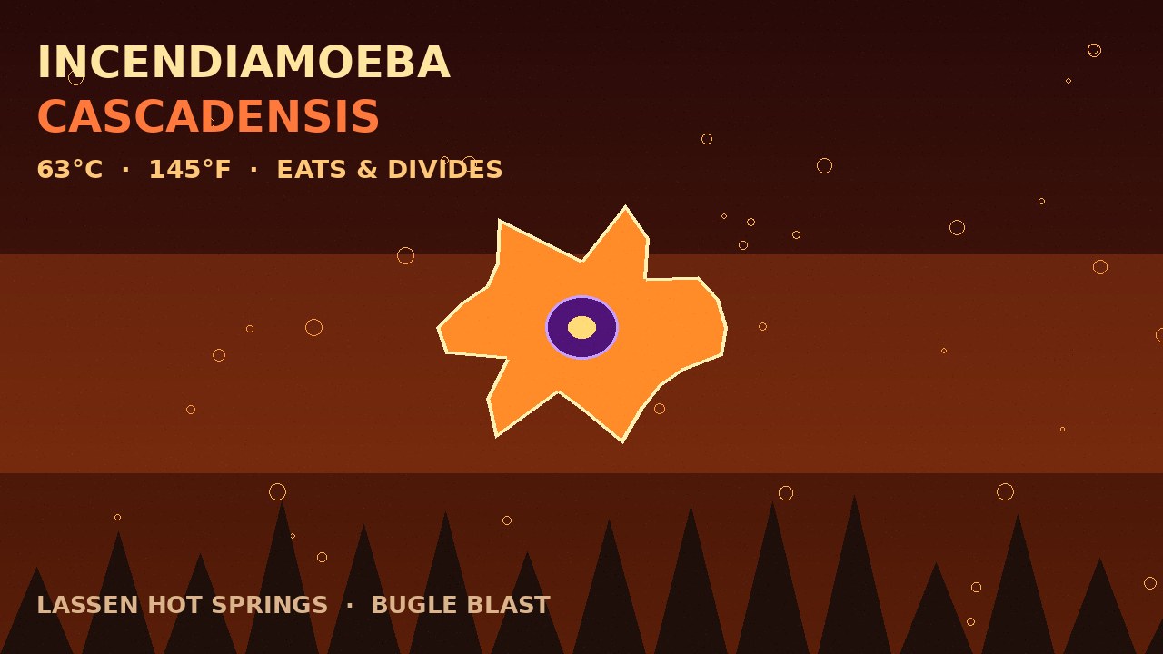 FIRE AMOEBA LAUGHS AT 145°F HOT SPRINGS! | Incendiamoeba cascadensis eats and divides at 63°C — past the old eukaryotic heat limit