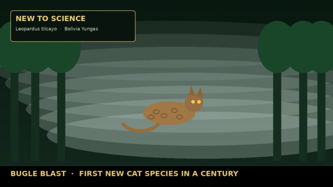 SCIENTISTS NAME A BRAND-NEW WILD CAT — FIRST IN OVER A CENTURY! | Meet Leopardus tilcayo, a 3-pound cloud-forest tiger cat hiding in Bolivia’s Yungas