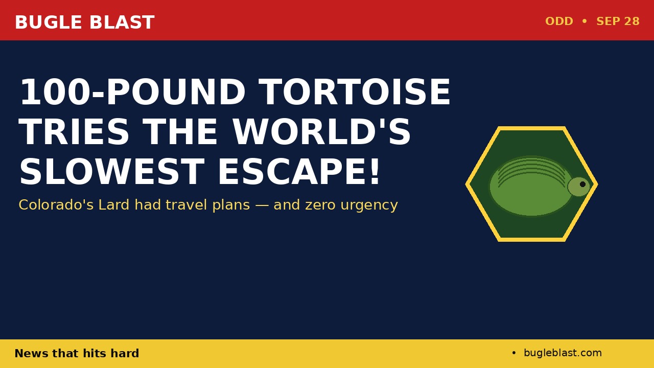 100-POUND TORTOISE TRIES THE WORLD’S SLOWEST ESCAPE! | Colorado’s Lard had travel plans — and zero urgency